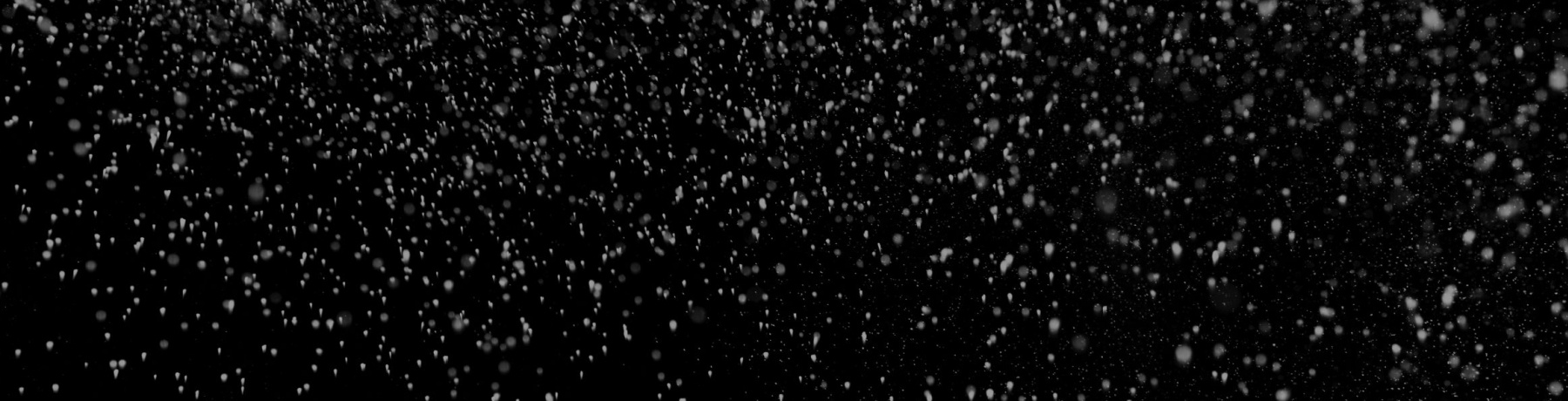 Winter Sale Winter Sale