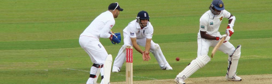 Cricket