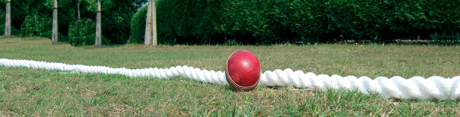 Cricket Nets, Cages and Stumps Cricket Nets, Cages and Stumps