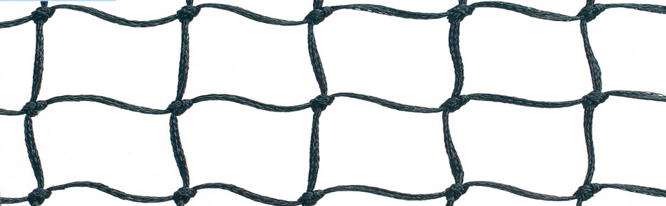 Cricket Nets
