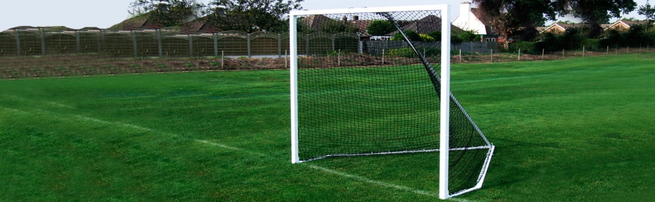 Lacrosse