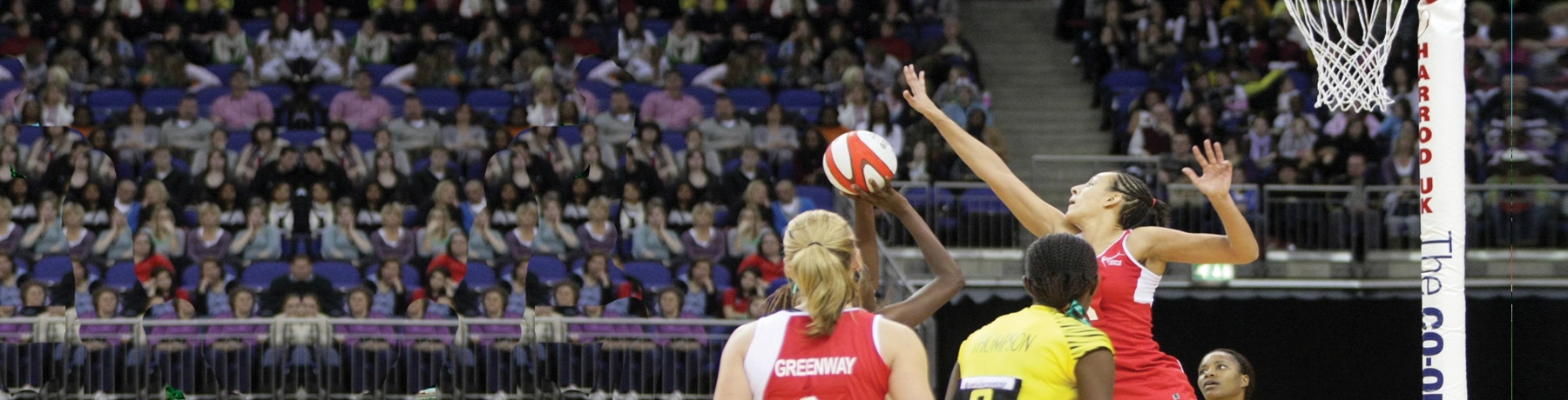Netball Posts Netball Posts