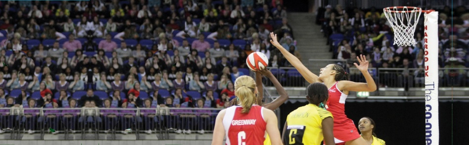 Netball Posts