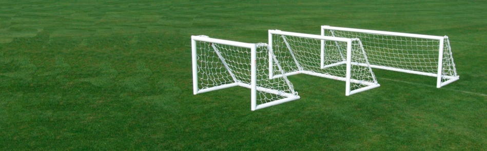 Training Goals
