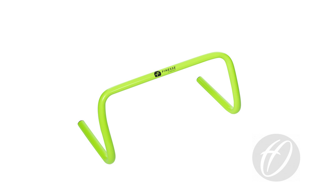 fns-010-1 fns-010-1