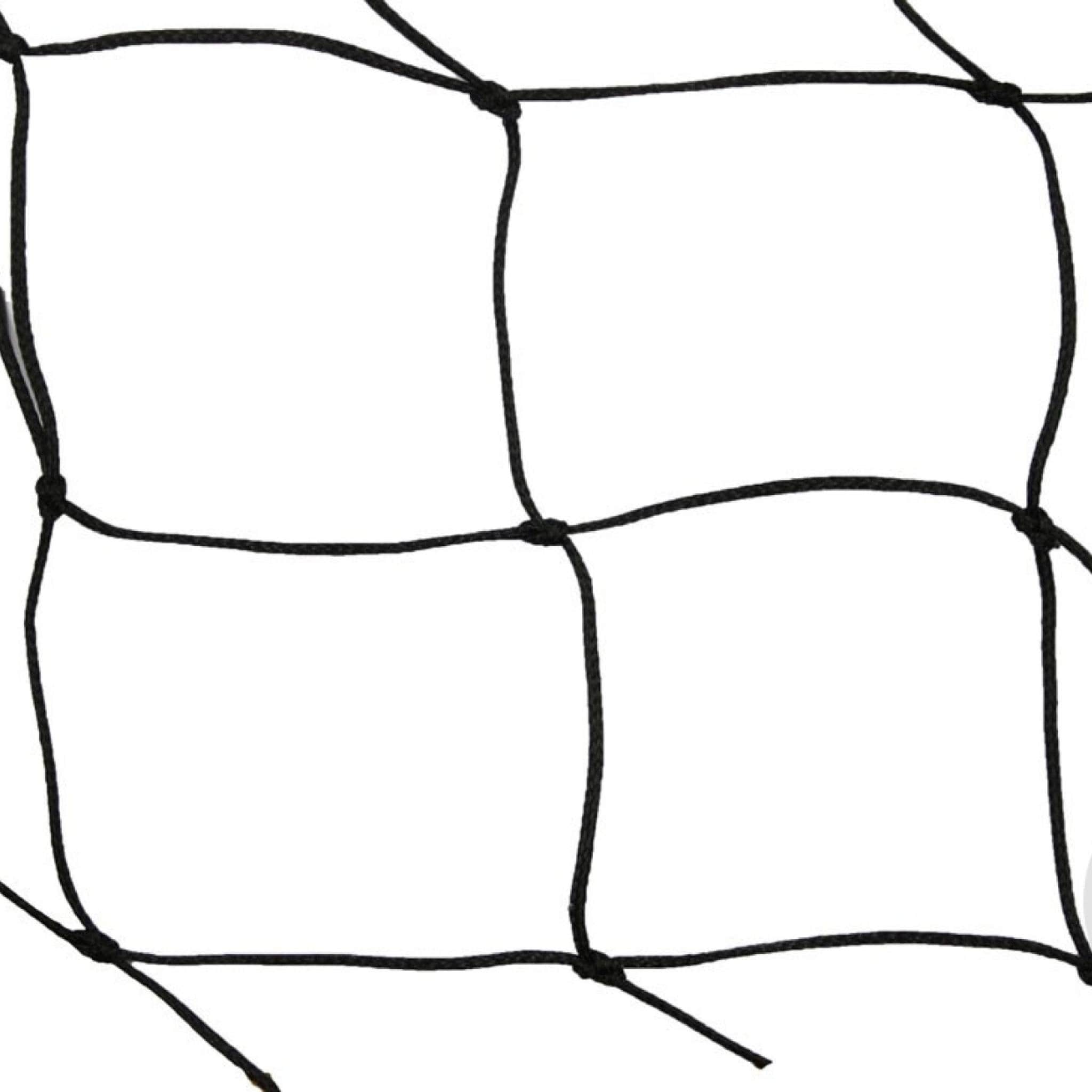 fbl-309-3-1200x728