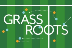 Grassroots: a guide to grasses and the pitches they make