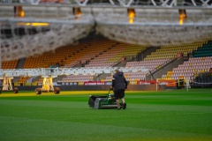 Pitches of the future: Norwich City FC and St George's Park groundsmen discuss pitch technology