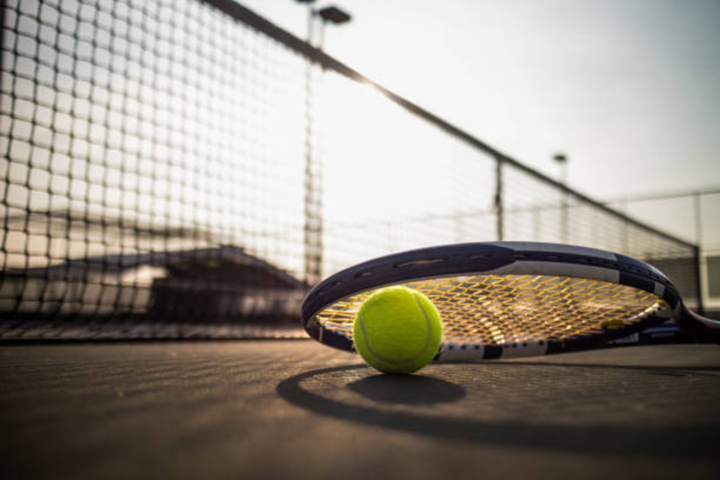 Sports on the Court
